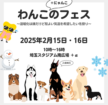 わんこのフェス.png