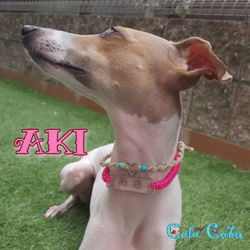 AKI
