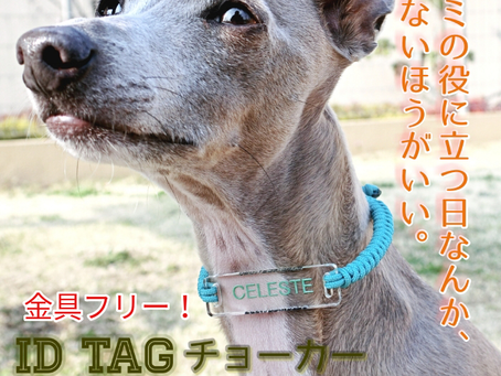 待望の「迷子札」、いよいよデビュー。