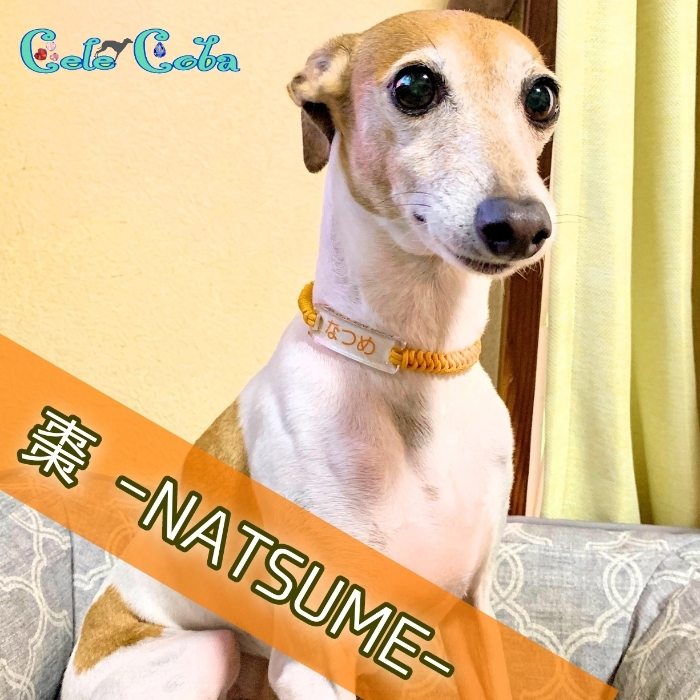 NATSUMEさん