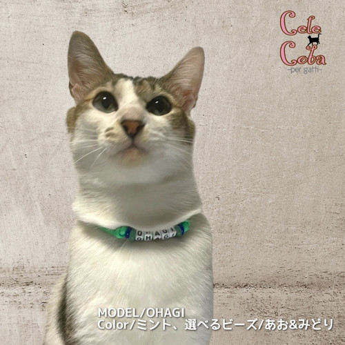 色・イロ 選べる！うちの仔ネームチョーカー-per gatti-(猫用) | Cele*Coba