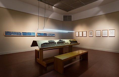 2024.04.22 - Vero Orta, Conexion directa, Museo Castagnino, Rosario (8).jpg