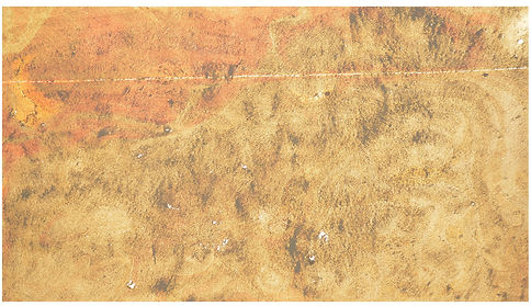 CST T 08 NATIVE GOLD.jpeg