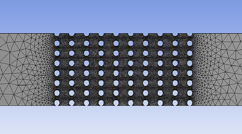 mesh side view.png