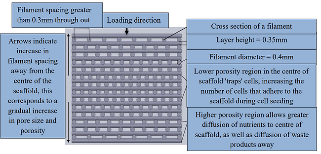 Bone scaffold schematic.PNG