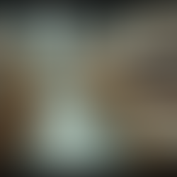 Understanding Disaster Relief Programs