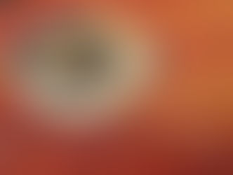 The Timelessness of Stitch Exhibition