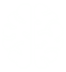 Craniotomy Icon_edited.png