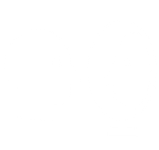Mirror White Icon.png
