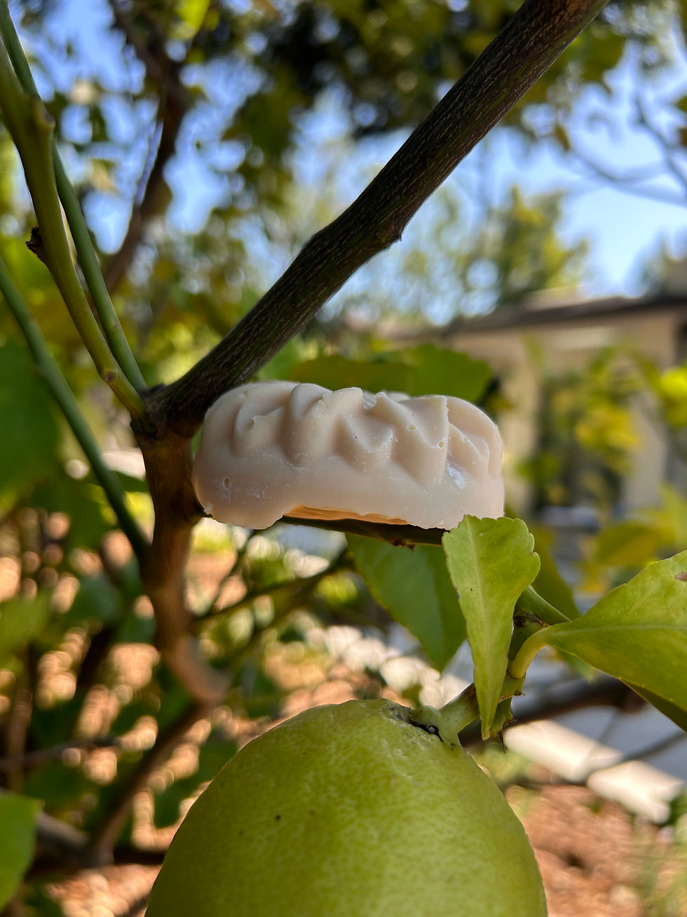 Thumbnail: Lemon Burst Bar Soap