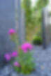 jardin-bordure-panneaux-qualite-paysage-