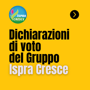 Dichiarazioni di voto sul bilancio preventivo 