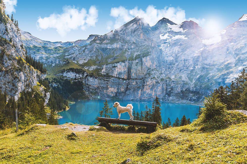 Top 10 Places for Destination Wedding in Switzerland