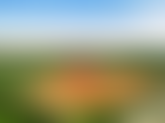 Vacant Land Management: How to Protect, Maintain, and Maximize Your Land Value