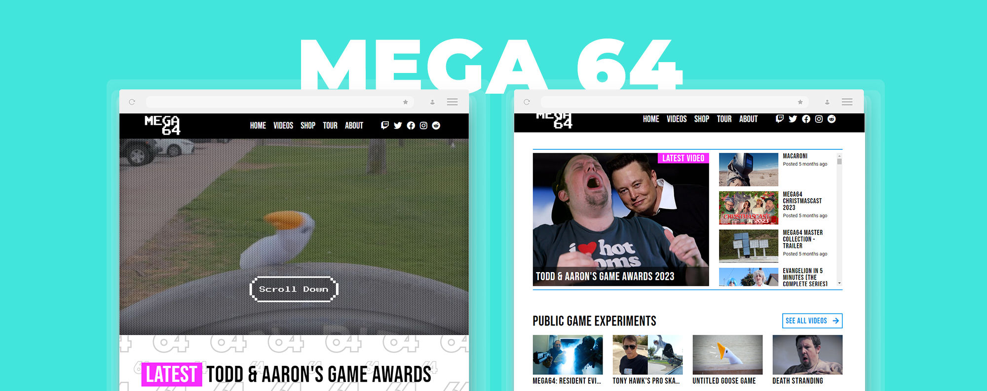 Mega64_website.jpg