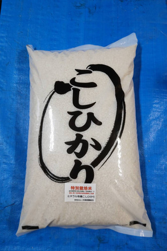 日米同時公開10月【送料込！⠀】 水島米 白米5kg | 農事組合法人水島営農組合