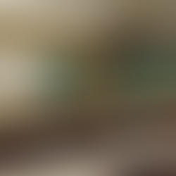 Classroom Set-Up: Taylon Mann