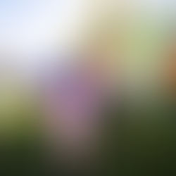 How to "Get Ahead" in Special Education