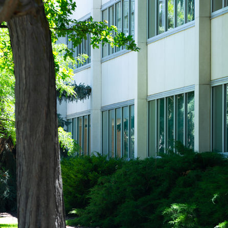 Get to Know the McKay School