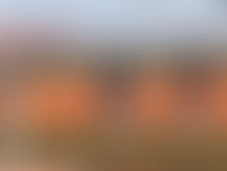 PETE Coaching Internship: Softball