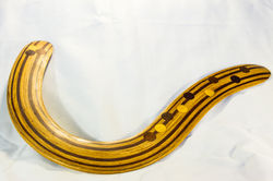 Boomerang C