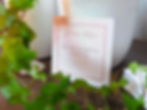 Thumbnail: Goddess Affirmations Oracle Deck - First Edition