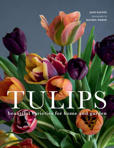 Tulips: Beautiful Varieties for Home and Garden | The Flower Studio