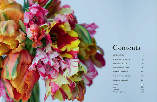 Tulips: Beautiful Varieties for Home and Garden | The Flower Studio