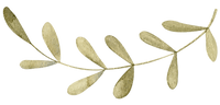 AdobeStock_655984847_9_edited.png
