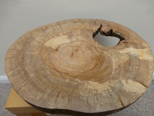 Workshop trial produces stunning results