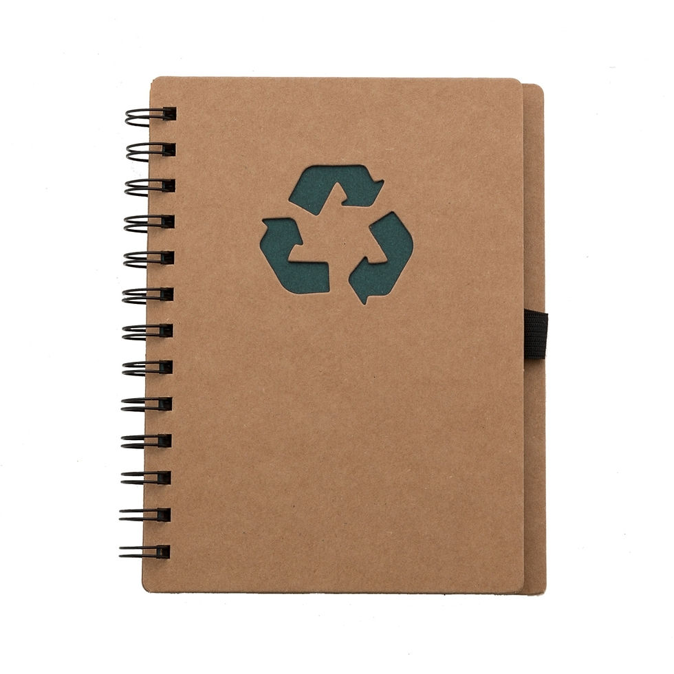 Miniatura: Caderno Ecológico