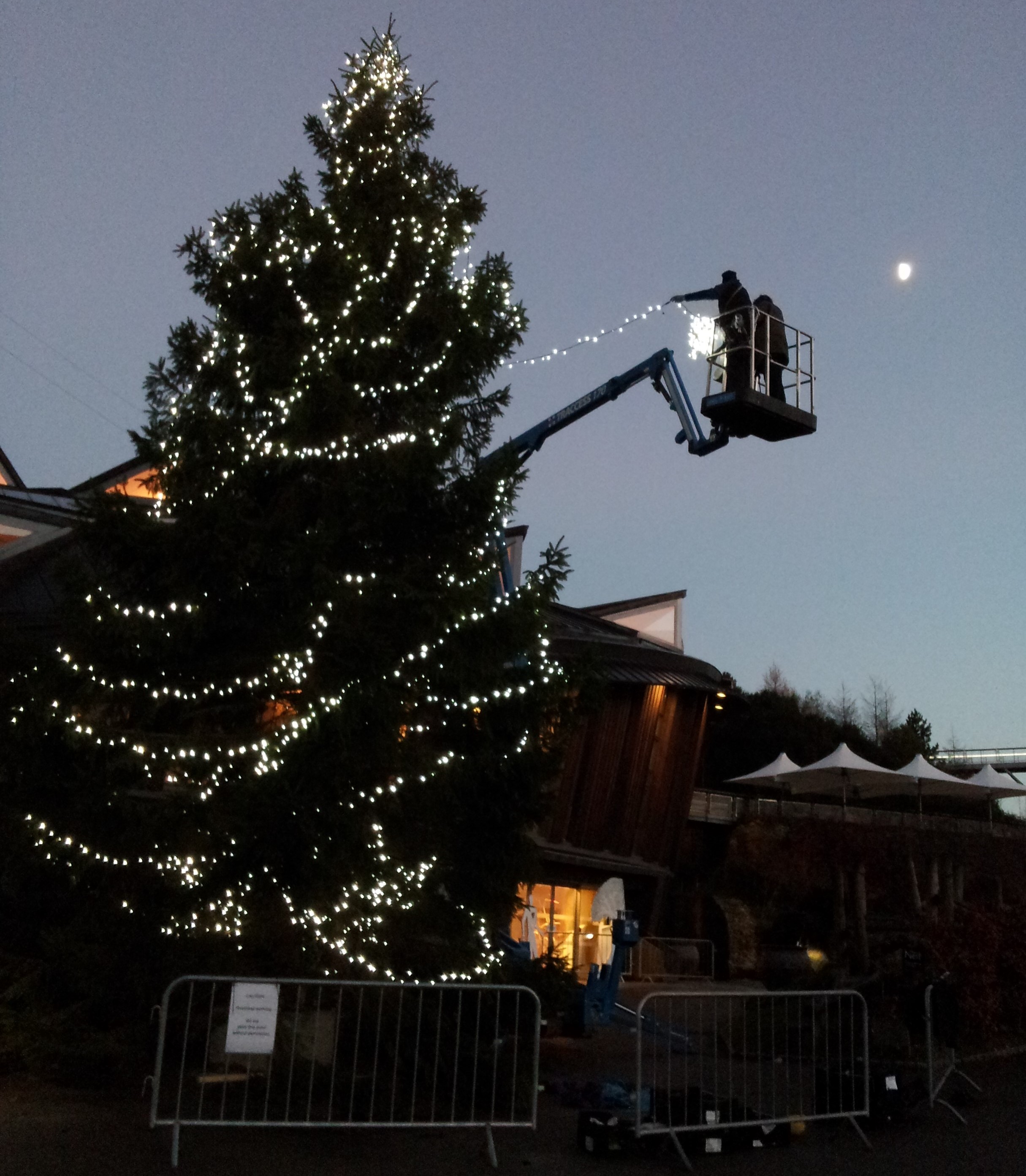 Moonlighting