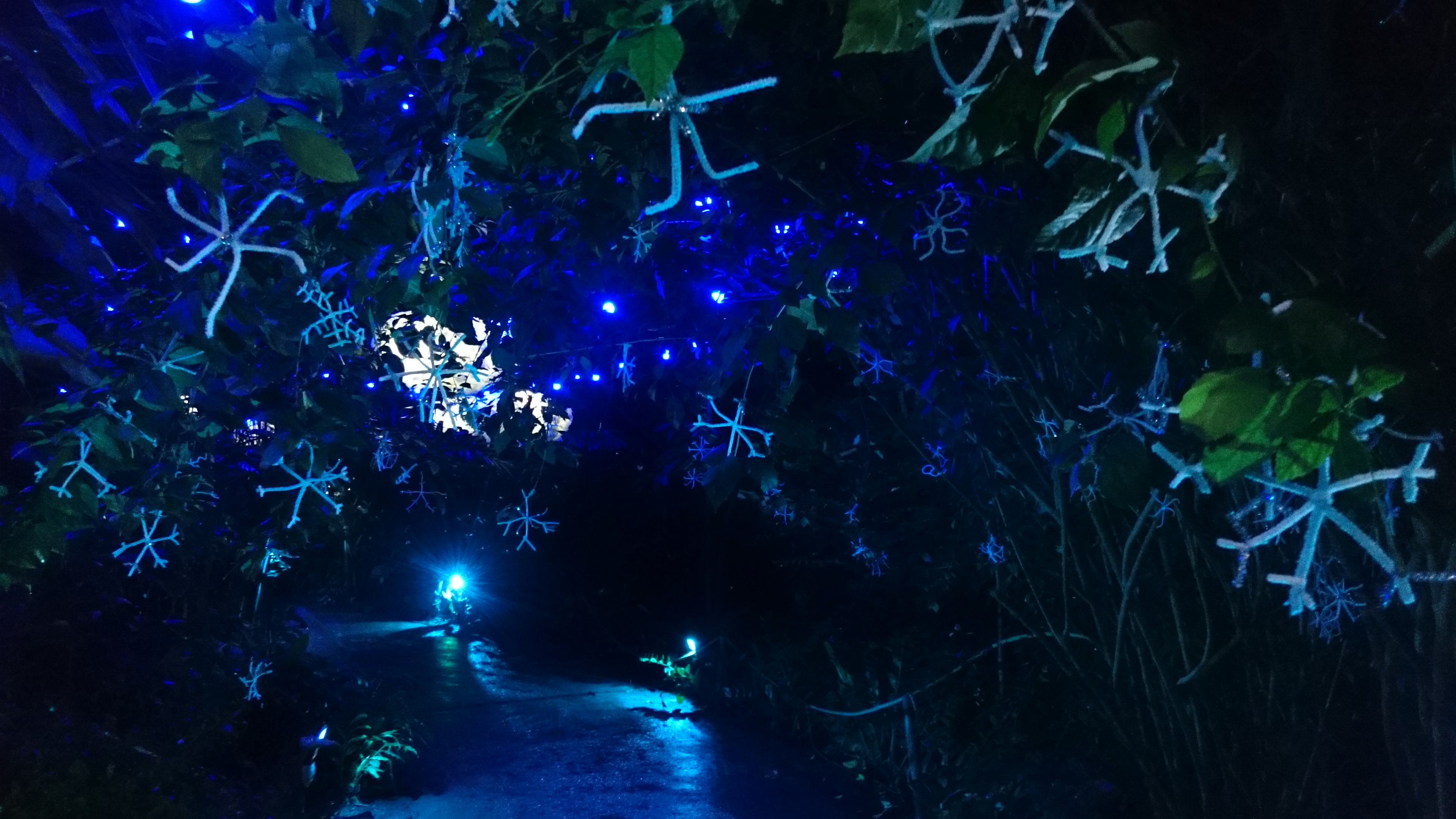 Yule-Tide Archive 2015