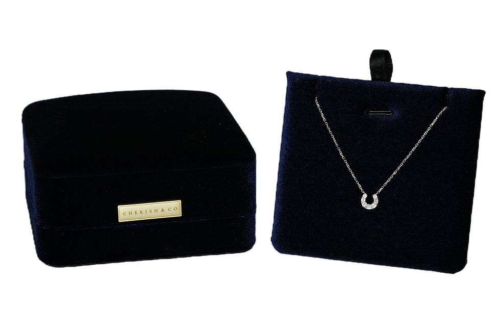 Thumbnail: The Horseshoe Necklace