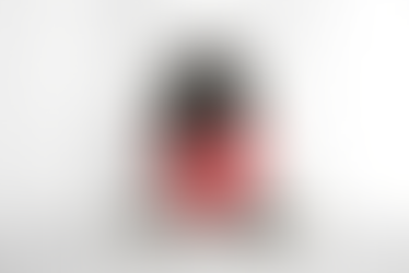 Quantas vezes um cachorro deve comer por dia?