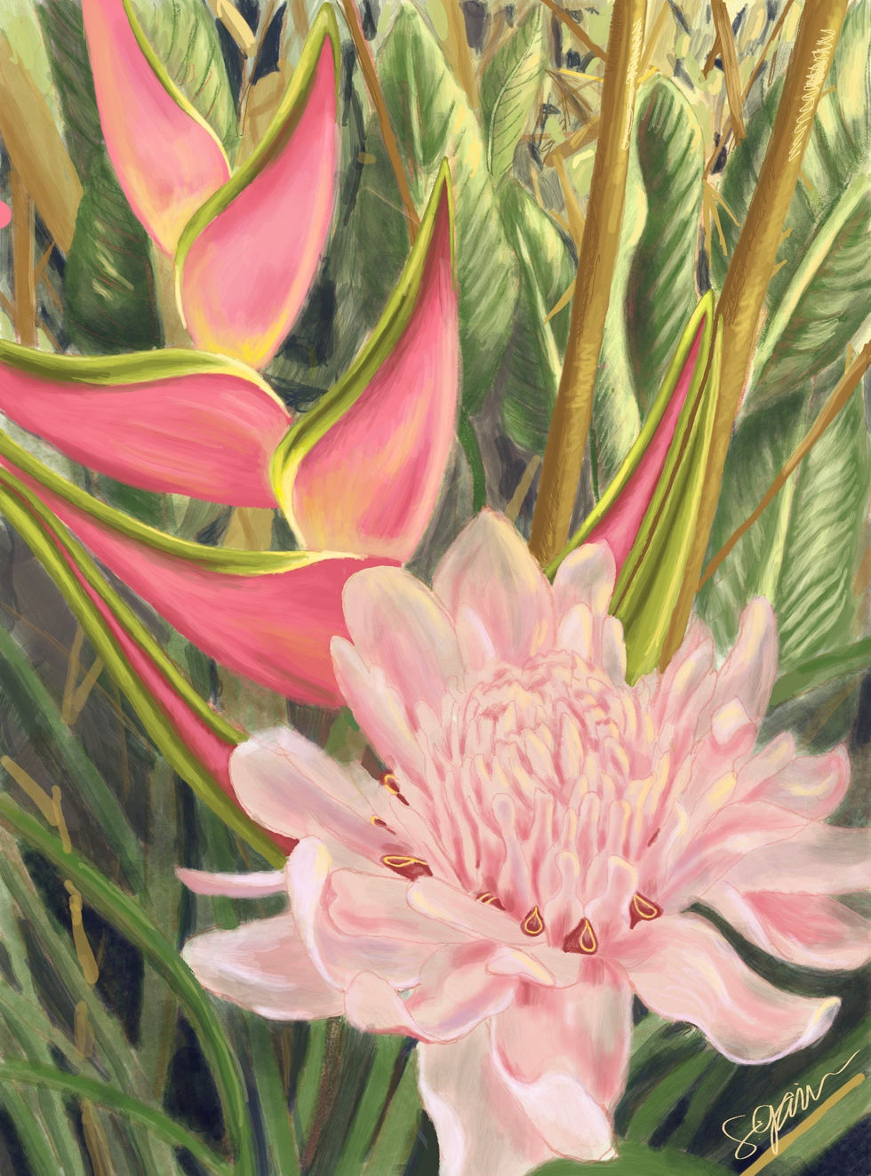 Heliconia, 2025