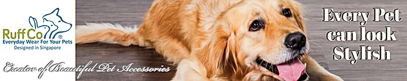 RuffCo Banner.png