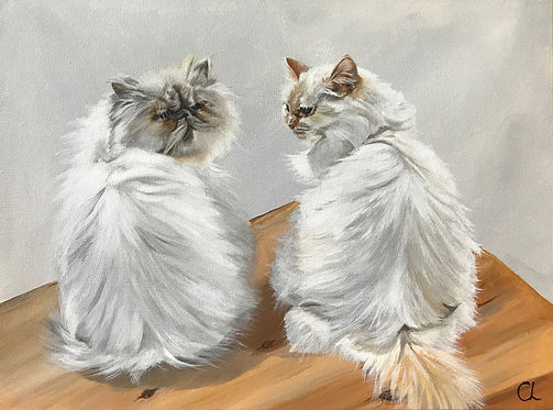 Cat 1.jpeg