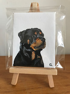 rotty mini.jpeg