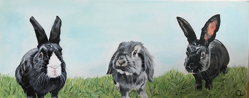 trio of bunnies.jpeg