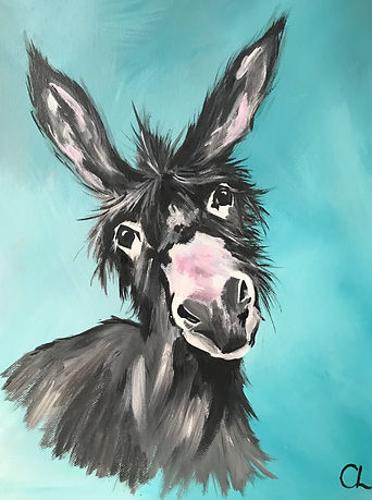 donkey.jpeg