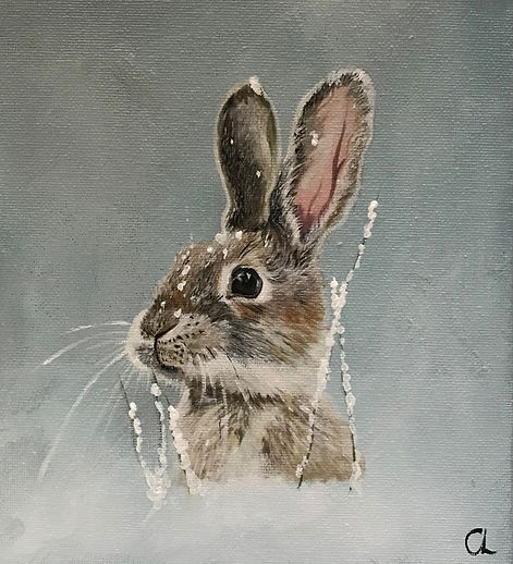 bunny 3.jpeg