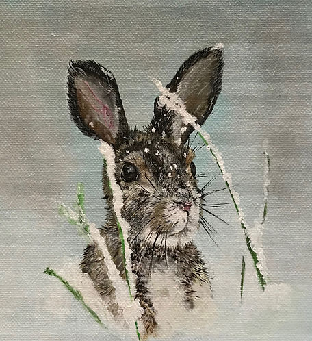 bunny.jpeg