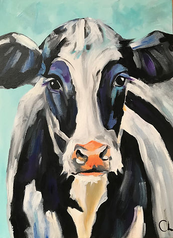 black cow.jpeg