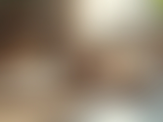 Comprehensive Animal Care Facility Services