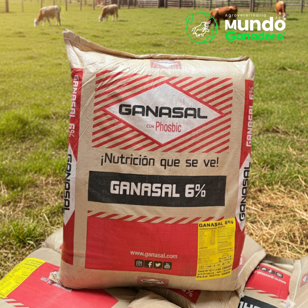 GANASAL 6%