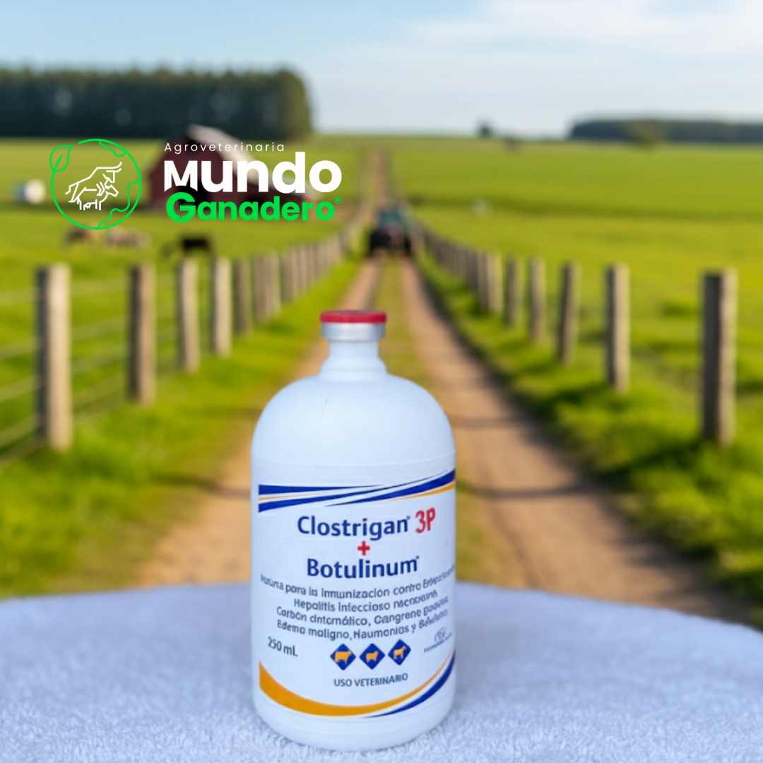 Clostigran 3p+ Botulinum
