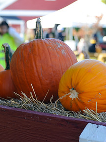 fall.home.jpg