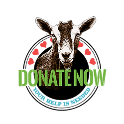 DONATEicon2.png