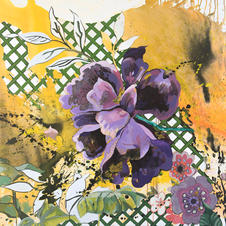 Elisabeth Condon